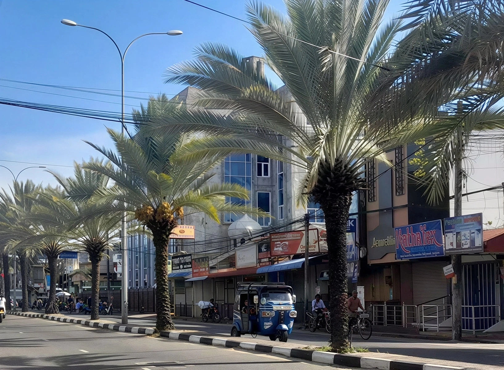 Date Palm Avenue 2